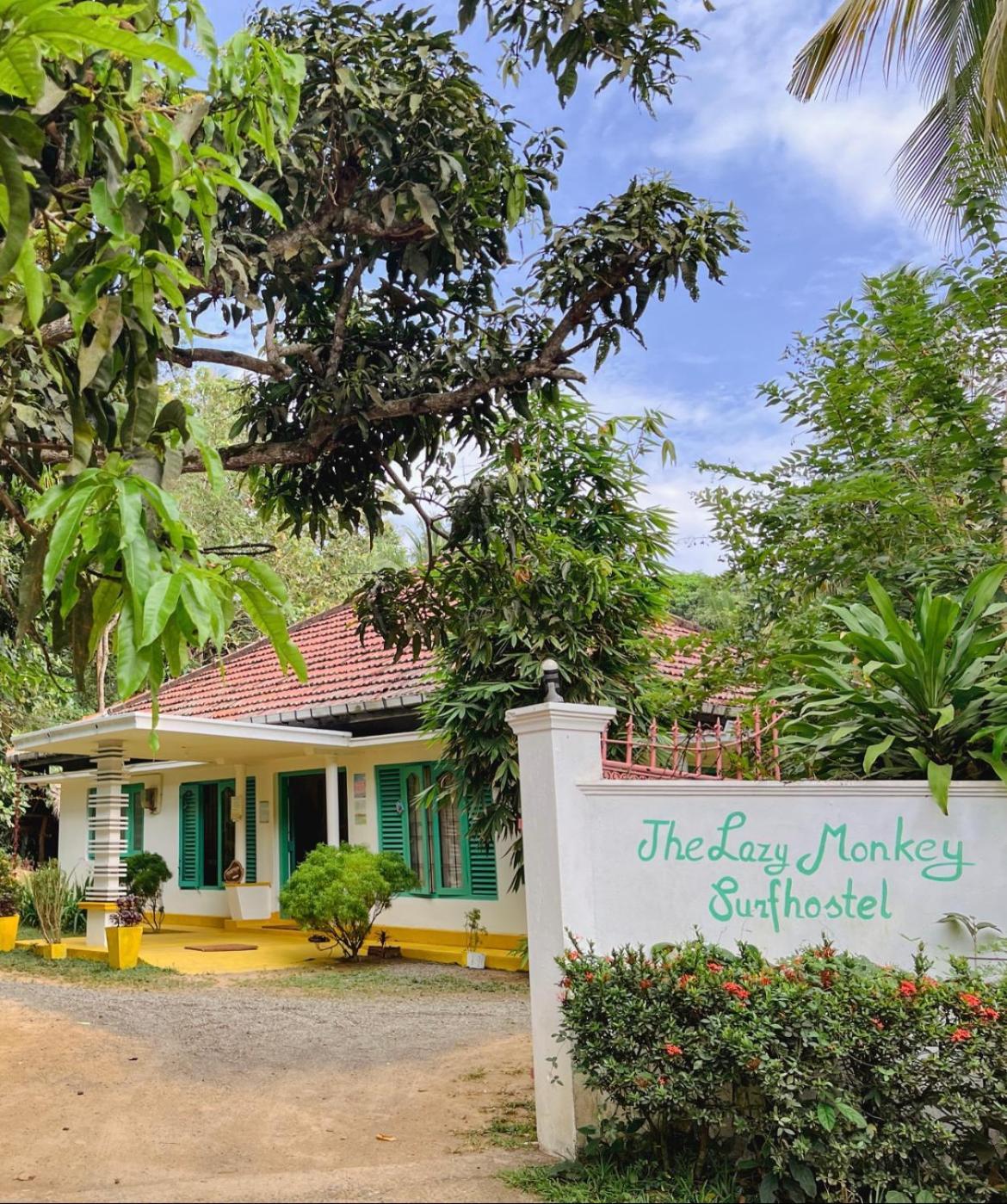 Lazy Monkey Surfhostel - Sri Lanka 迪克韦勒 外观 照片