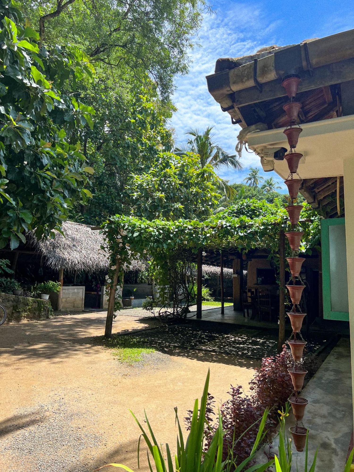 Lazy Monkey Surfhostel - Sri Lanka 迪克韦勒 外观 照片