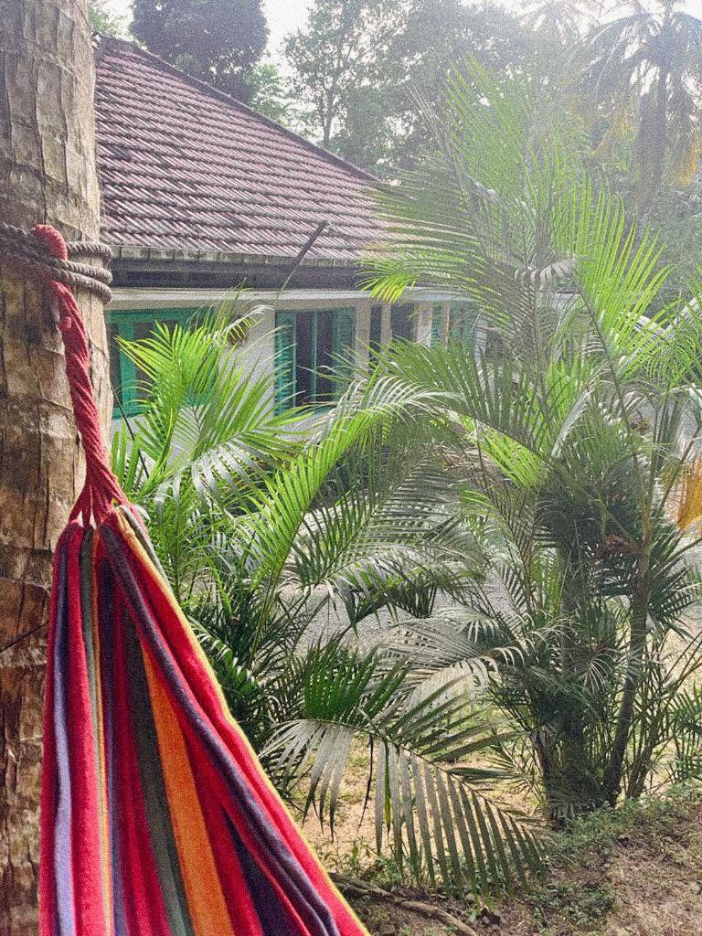 Lazy Monkey Surfhostel - Sri Lanka 迪克韦勒 外观 照片