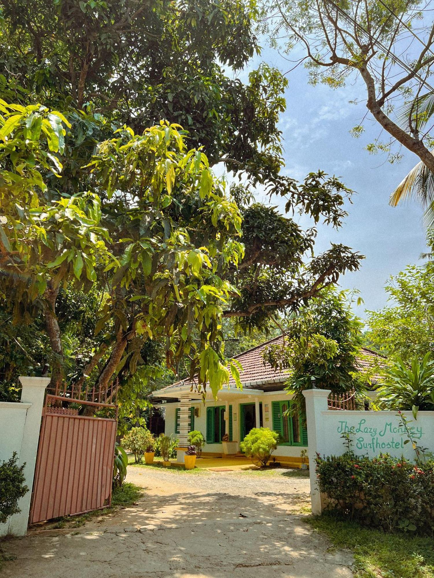 Lazy Monkey Surfhostel - Sri Lanka 迪克韦勒 外观 照片