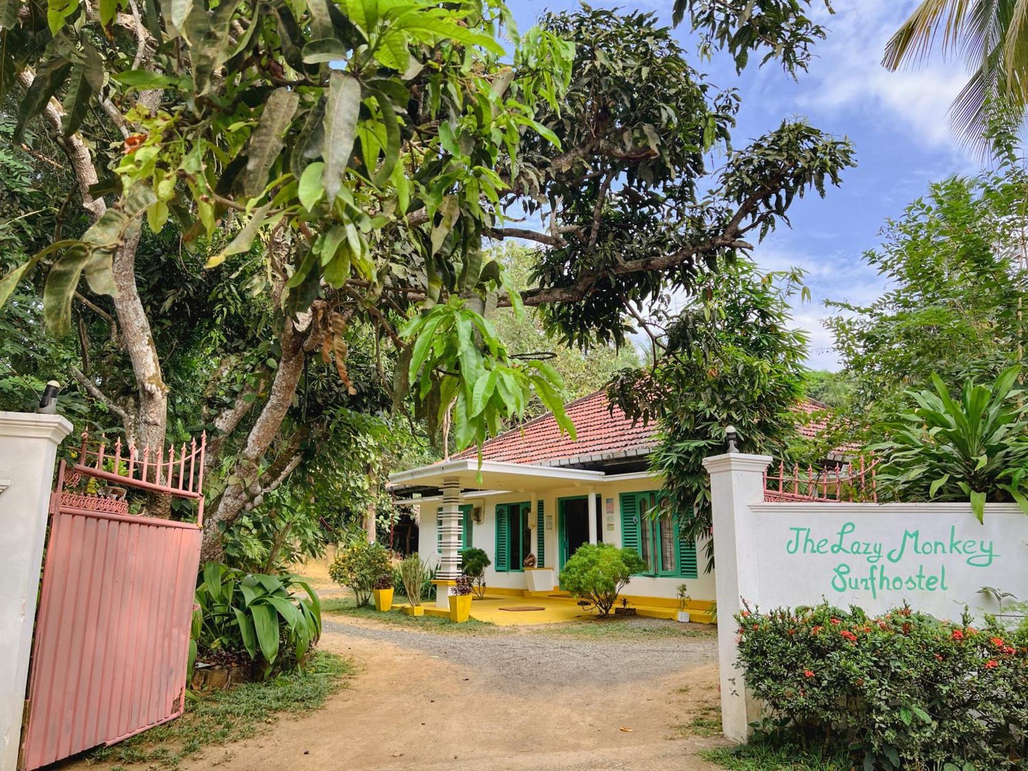 Lazy Monkey Surfhostel - Sri Lanka 迪克韦勒 外观 照片